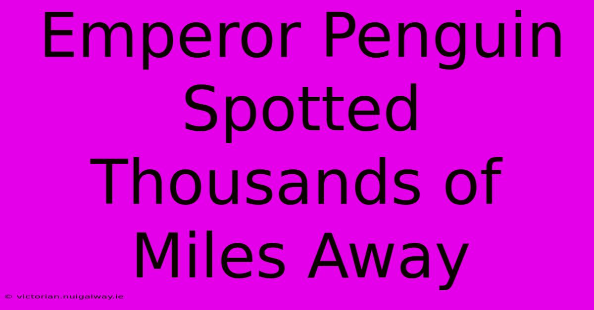 Emperor Penguin Spotted Thousands Of Miles Away