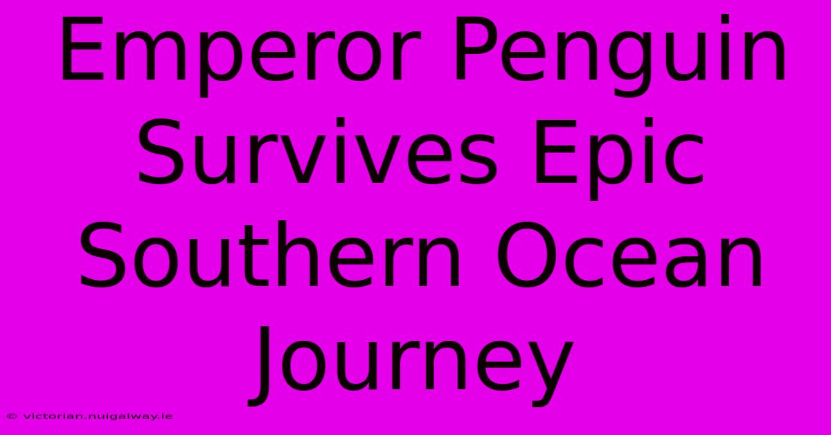 Emperor Penguin Survives Epic Southern Ocean Journey