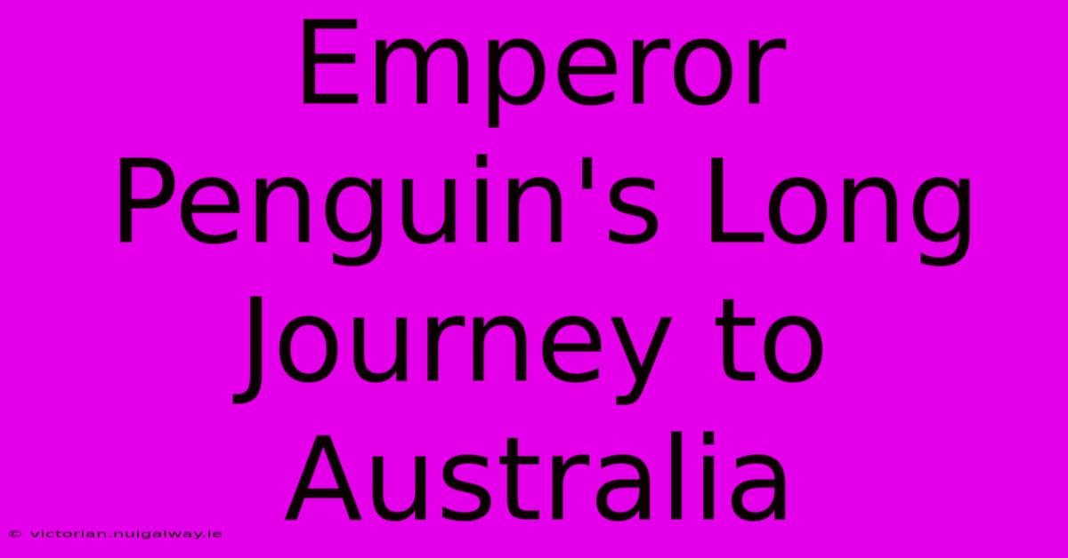 Emperor Penguin's Long Journey To Australia 