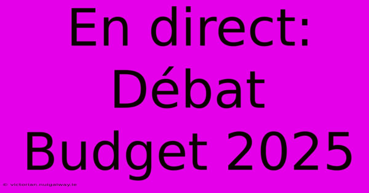 En Direct:  Débat Budget 2025