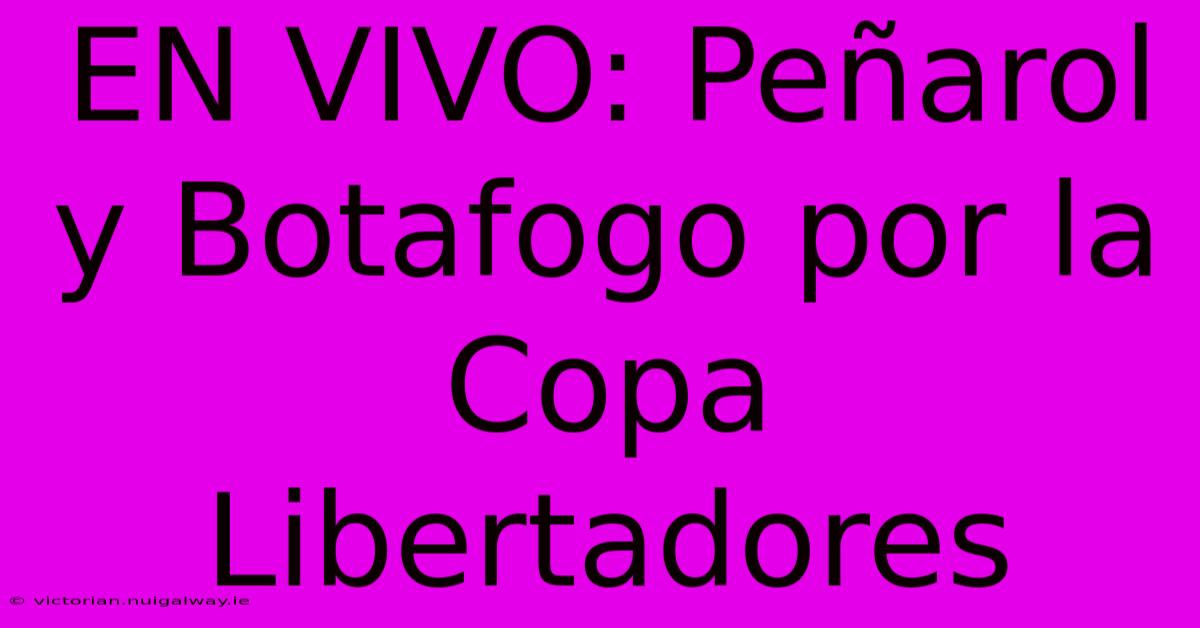 EN VIVO: Peñarol Y Botafogo Por La Copa Libertadores