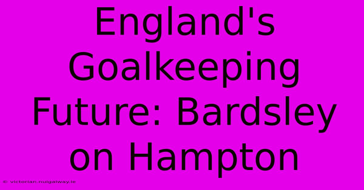 England's Goalkeeping Future: Bardsley On Hampton