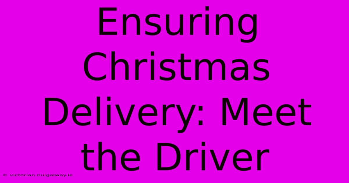 Ensuring Christmas Delivery: Meet The Driver