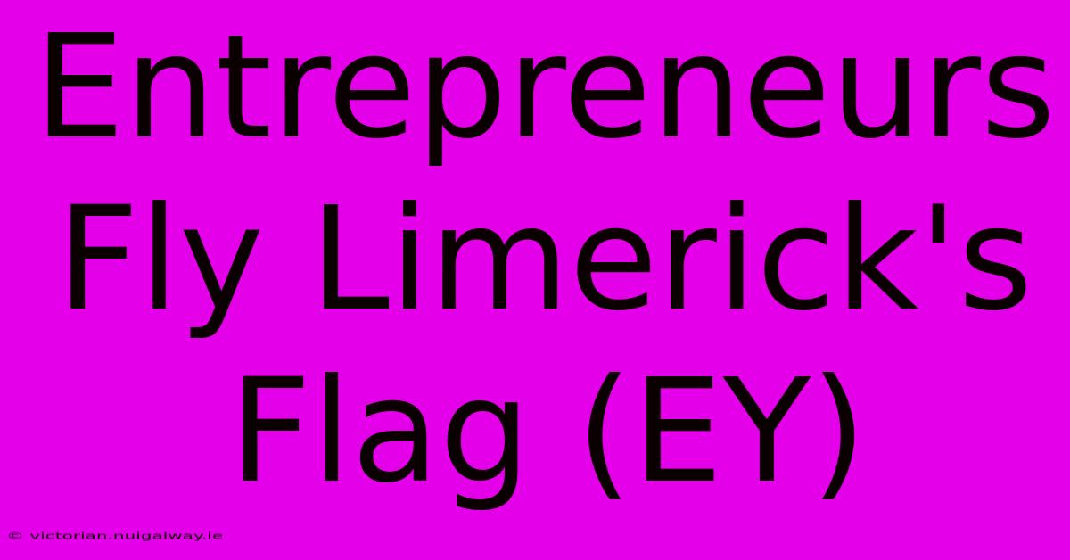 Entrepreneurs Fly Limerick's Flag (EY)