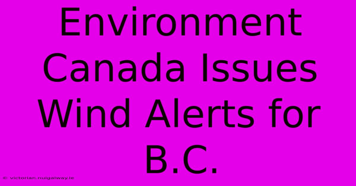 Environment Canada Issues Wind Alerts For B.C.