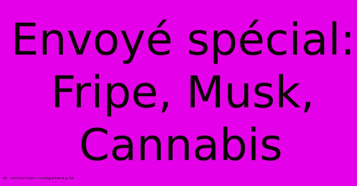 Envoyé Spécial: Fripe, Musk, Cannabis