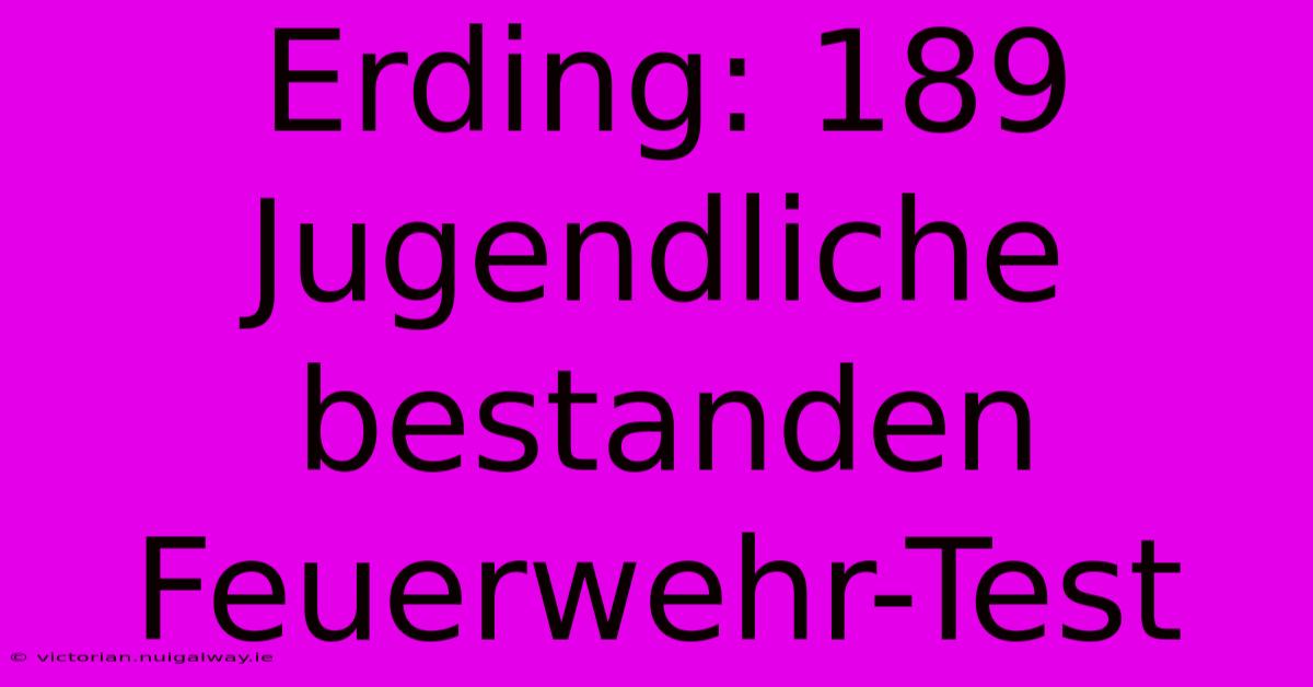 Erding: 189 Jugendliche Bestanden Feuerwehr-Test