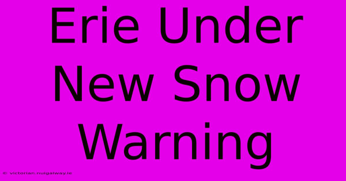 Erie Under New Snow Warning