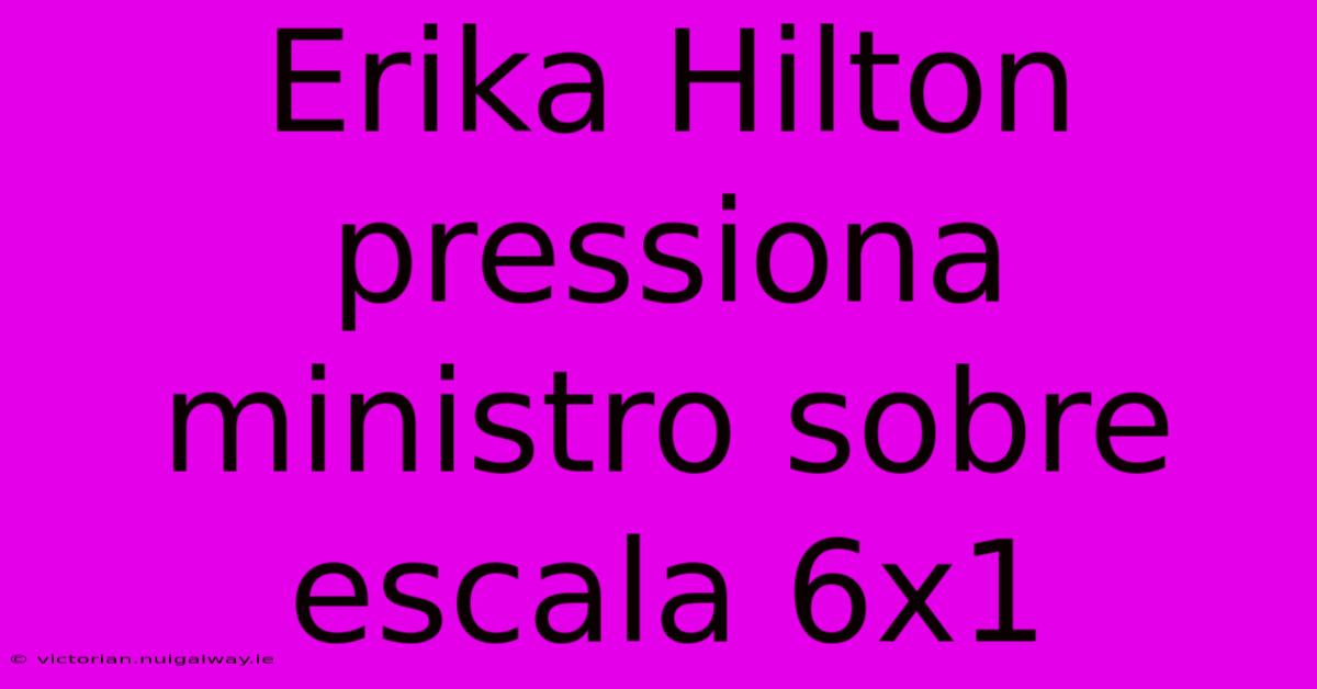 Erika Hilton Pressiona Ministro Sobre Escala 6x1