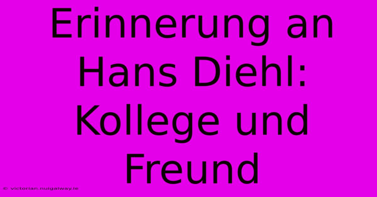 Erinnerung An Hans Diehl: Kollege Und Freund 