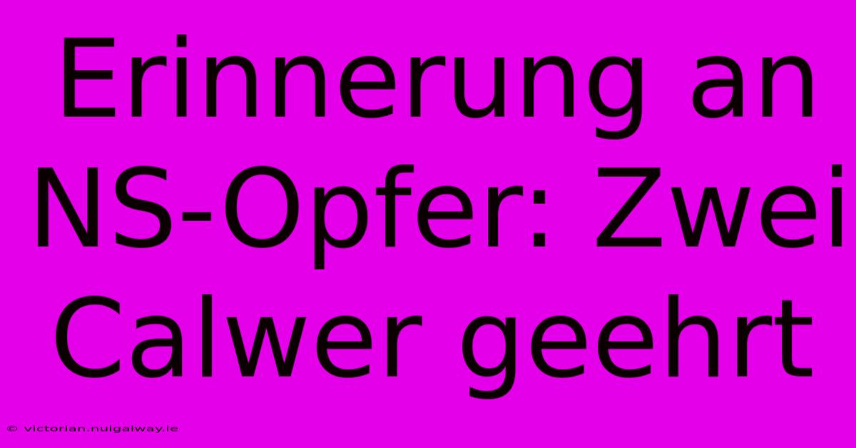 Erinnerung An NS-Opfer: Zwei Calwer Geehrt