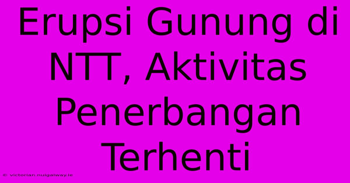 Erupsi Gunung Di NTT, Aktivitas Penerbangan Terhenti