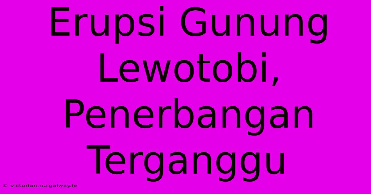 Erupsi Gunung Lewotobi, Penerbangan Terganggu 