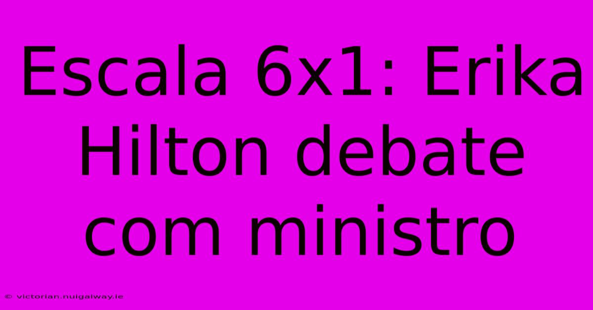 Escala 6x1: Erika Hilton Debate Com Ministro