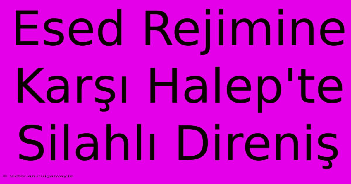 Esed Rejimine Karşı Halep'te Silahlı Direniş