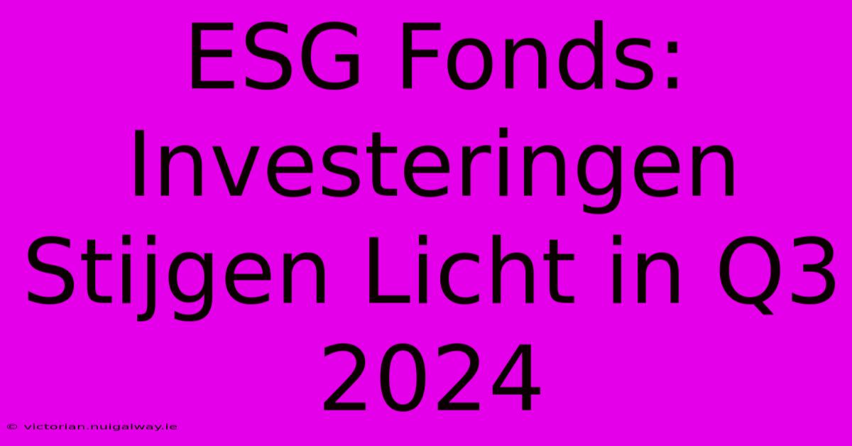 ESG Fonds: Investeringen Stijgen Licht In Q3 2024