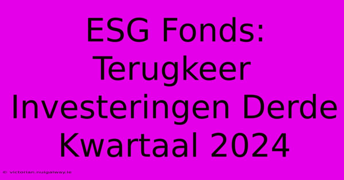 ESG Fonds: Terugkeer Investeringen Derde Kwartaal 2024