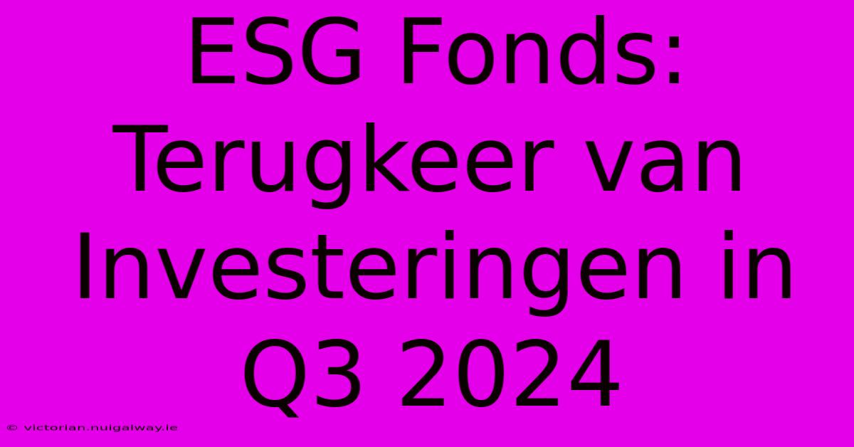 ESG Fonds: Terugkeer Van Investeringen In Q3 2024