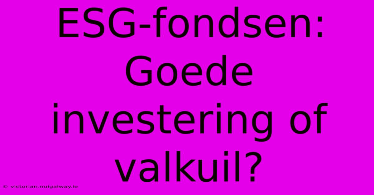 ESG-fondsen: Goede Investering Of Valkuil?