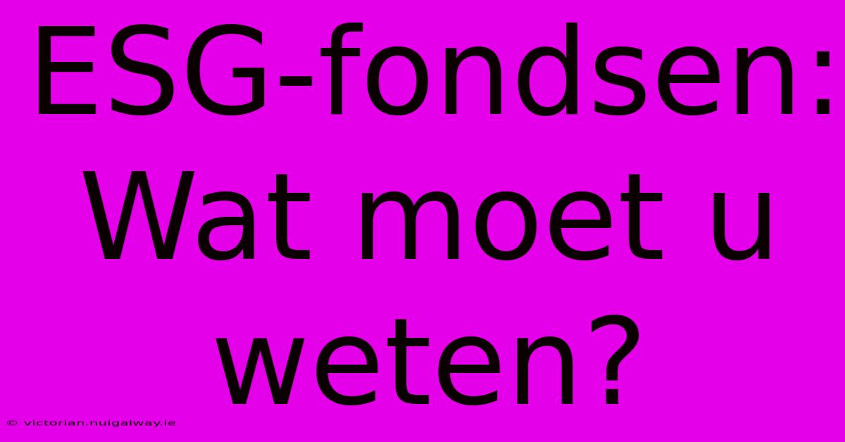 ESG-fondsen: Wat Moet U Weten?