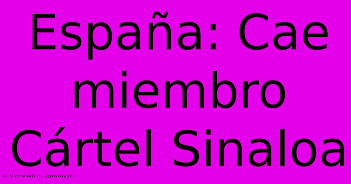 España: Cae Miembro Cártel Sinaloa