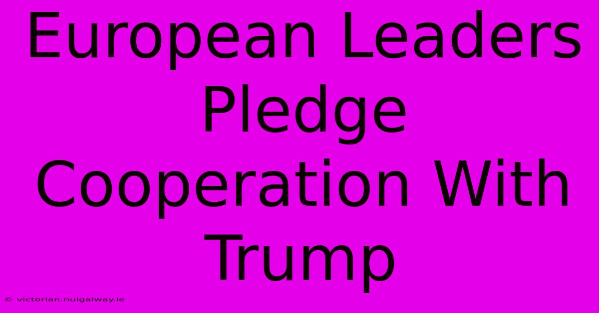 European Leaders Pledge Cooperation With Trump