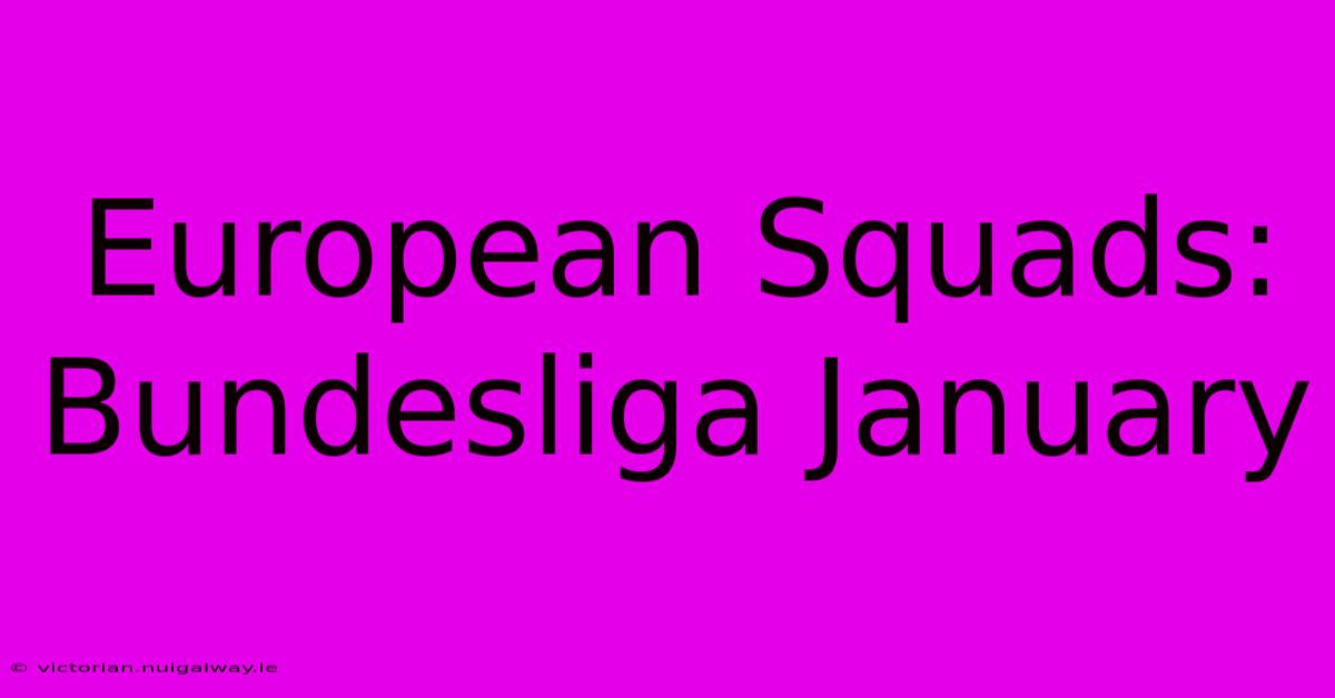 European Squads: Bundesliga January