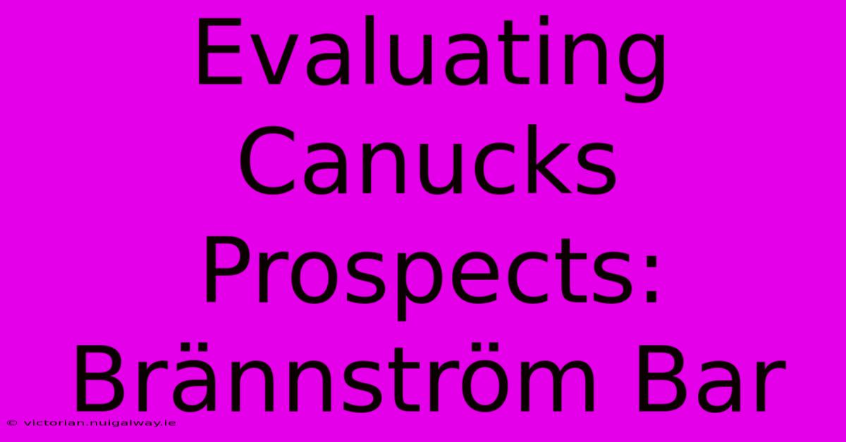 Evaluating Canucks Prospects: Brännström Bar