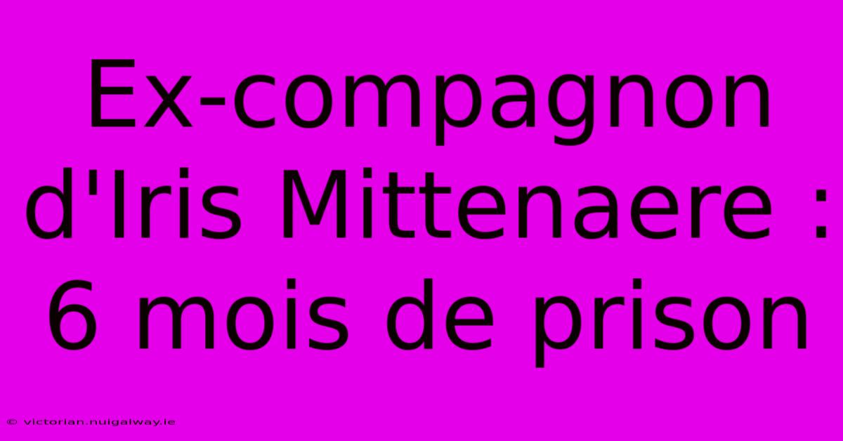 Ex-compagnon D'Iris Mittenaere : 6 Mois De Prison