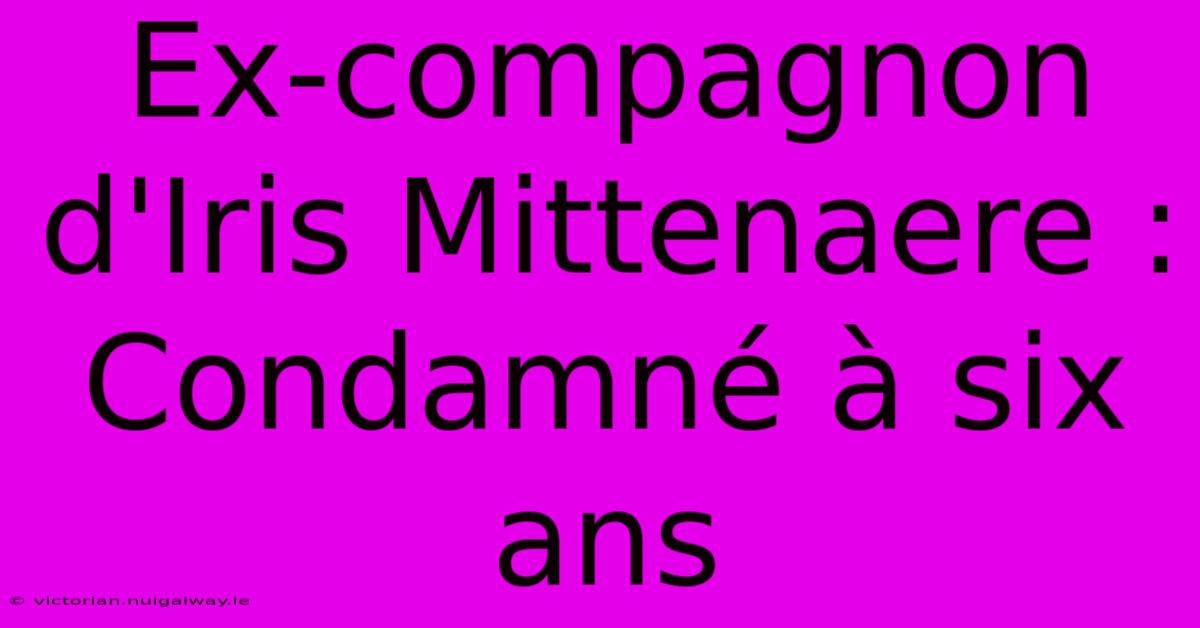 Ex-compagnon D'Iris Mittenaere : Condamné À Six Ans