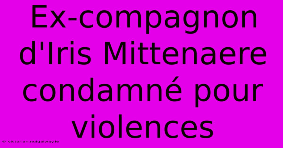 Ex-compagnon D'Iris Mittenaere Condamné Pour Violences