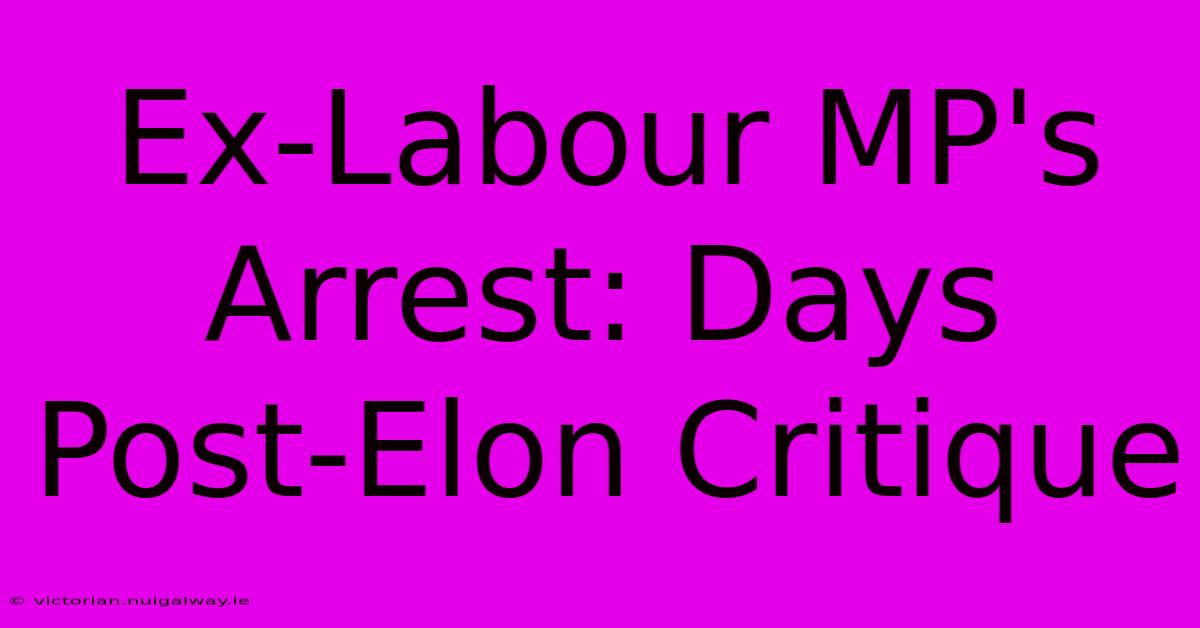 Ex-Labour MP's Arrest: Days Post-Elon Critique