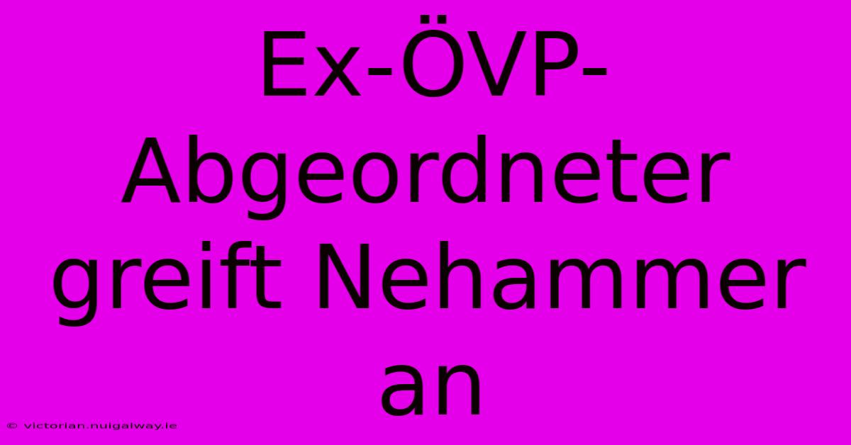 Ex-ÖVP-Abgeordneter Greift Nehammer An