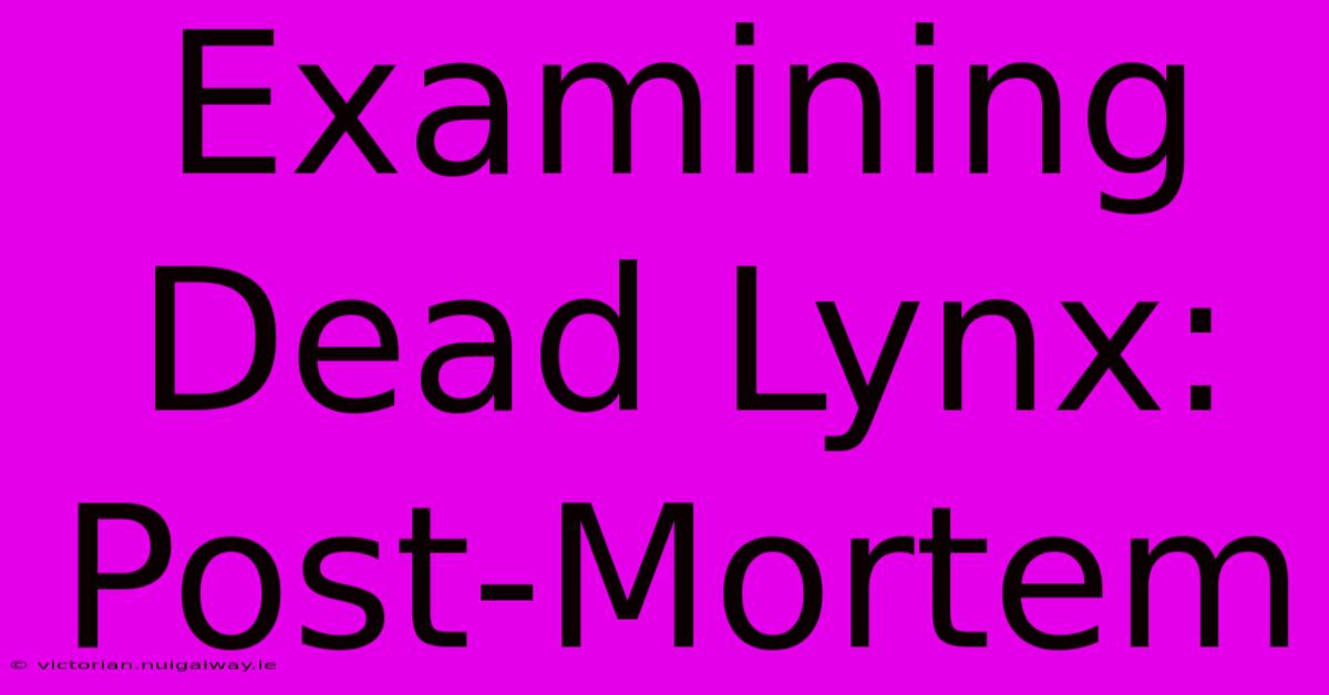 Examining Dead Lynx: Post-Mortem