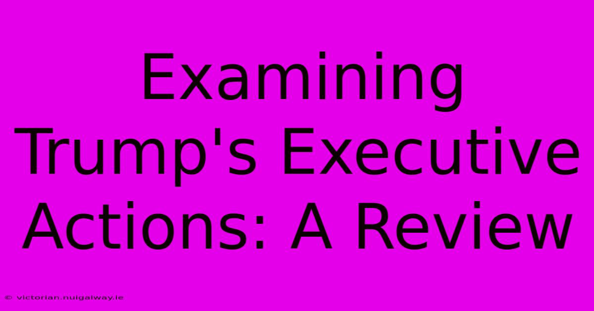 Examining Trump's Executive Actions: A Review