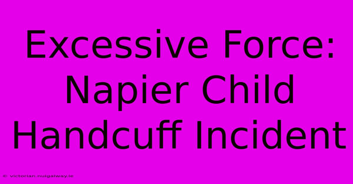 Excessive Force: Napier Child Handcuff Incident