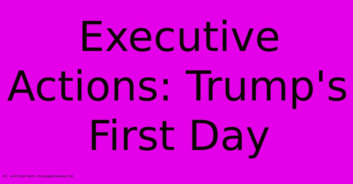 Executive Actions: Trump's First Day