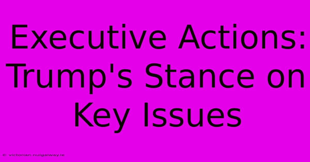 Executive Actions: Trump's Stance On Key Issues