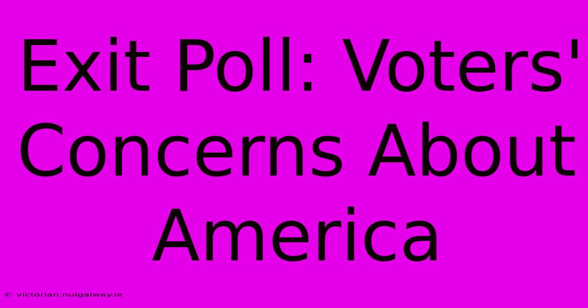 Exit Poll: Voters' Concerns About America