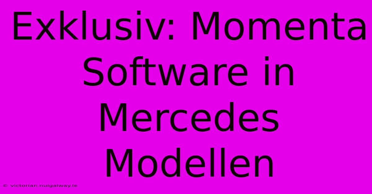 Exklusiv: Momenta Software In Mercedes Modellen