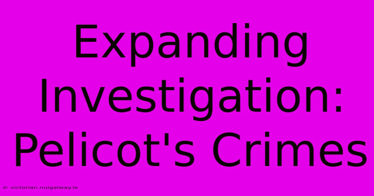 Expanding Investigation: Pelicot's Crimes