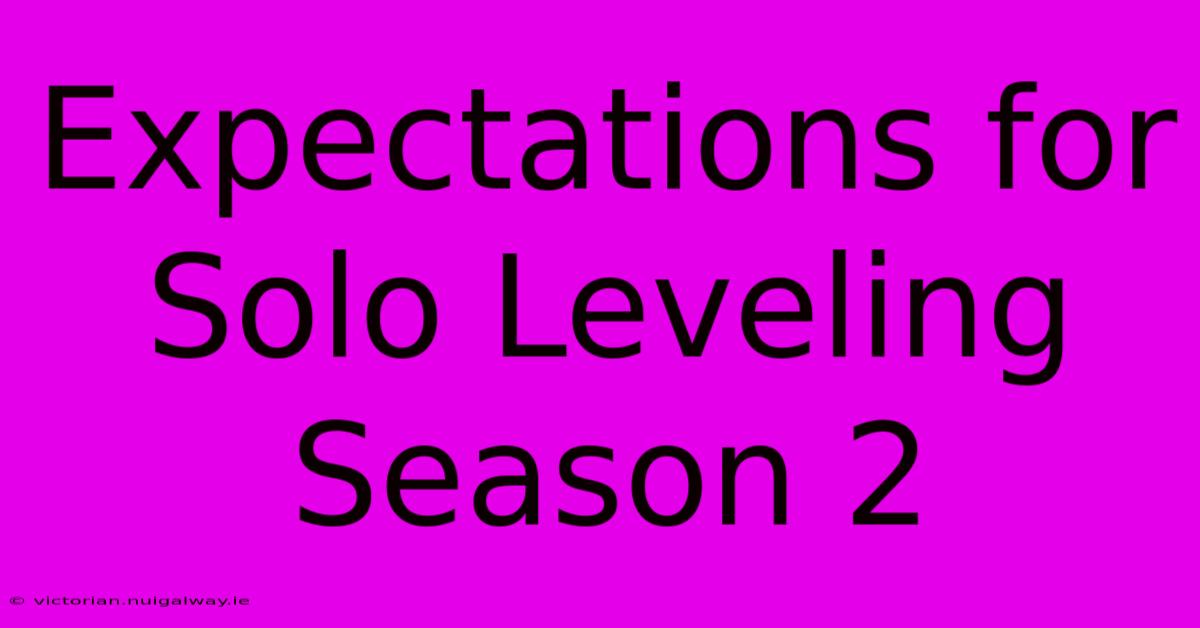 Expectations For Solo Leveling Season 2