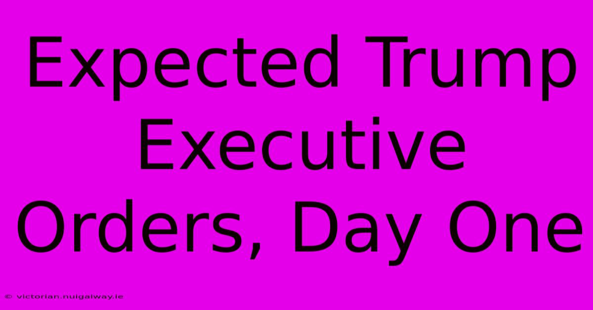 Expected Trump Executive Orders, Day One