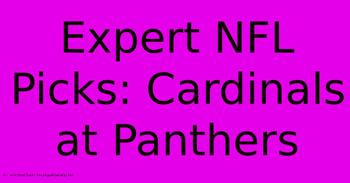 Expert NFL Picks: Cardinals At Panthers