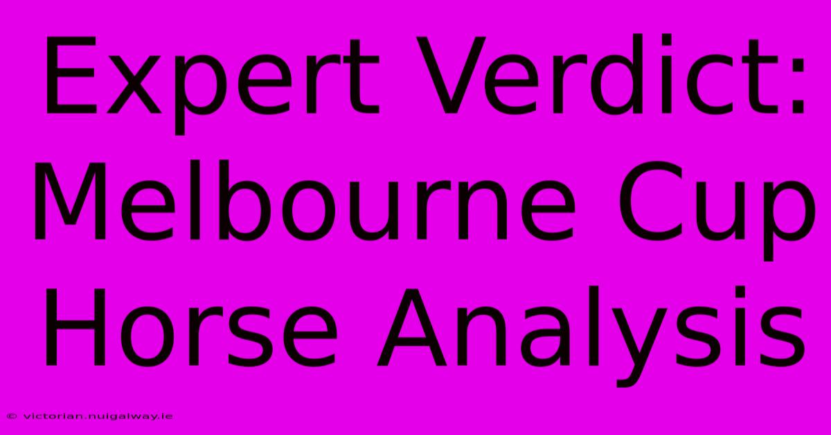 Expert Verdict: Melbourne Cup Horse Analysis 