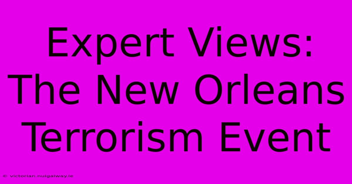 Expert Views: The New Orleans Terrorism Event