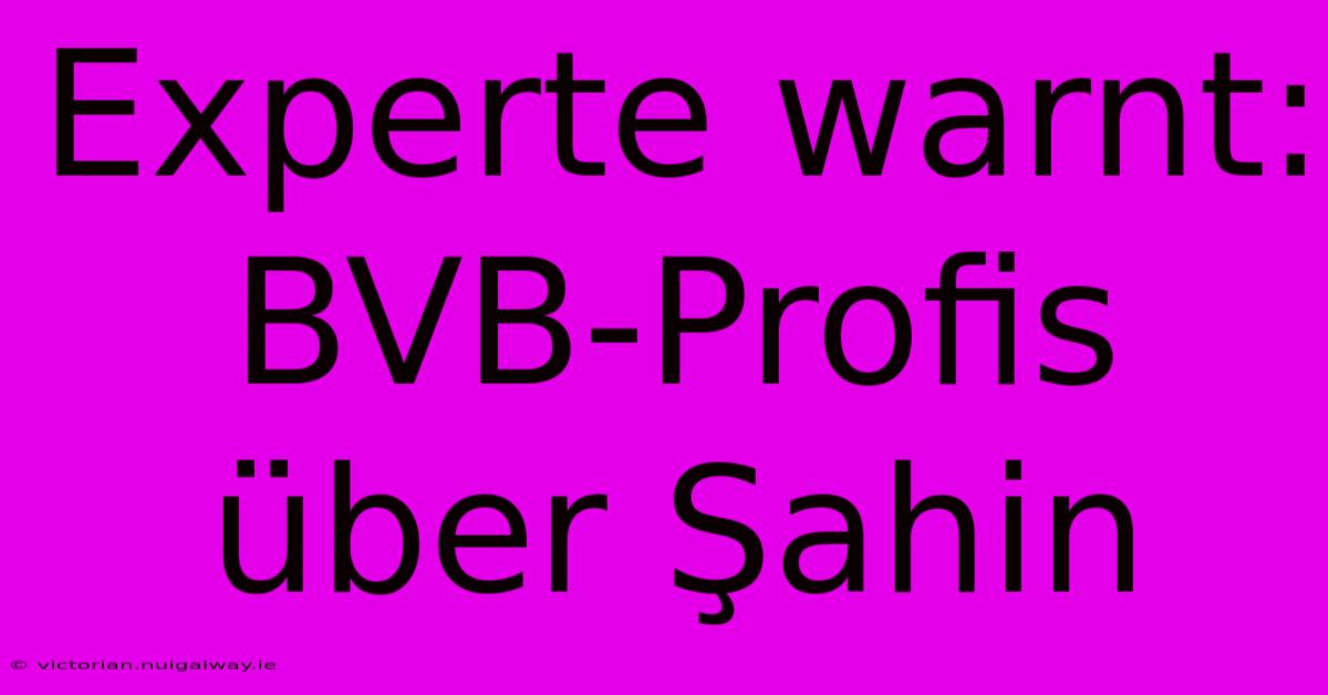 Experte Warnt: BVB-Profis Über Şahin