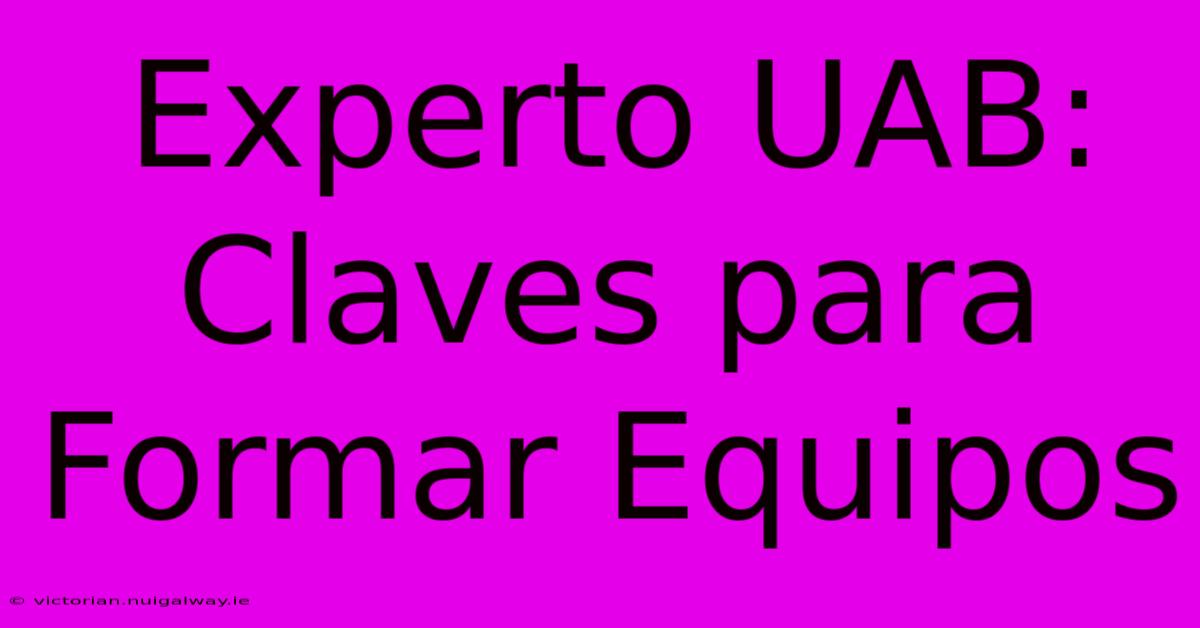 Experto UAB: Claves Para Formar Equipos