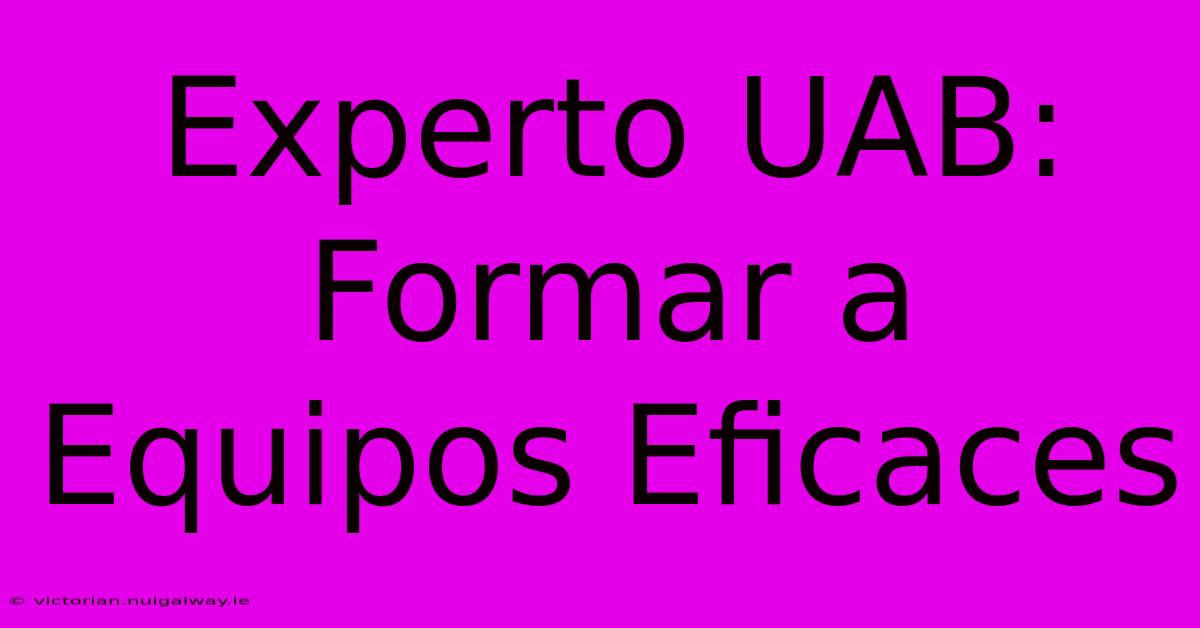 Experto UAB: Formar A Equipos Eficaces