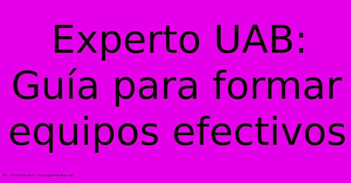 Experto UAB: Guía Para Formar Equipos Efectivos